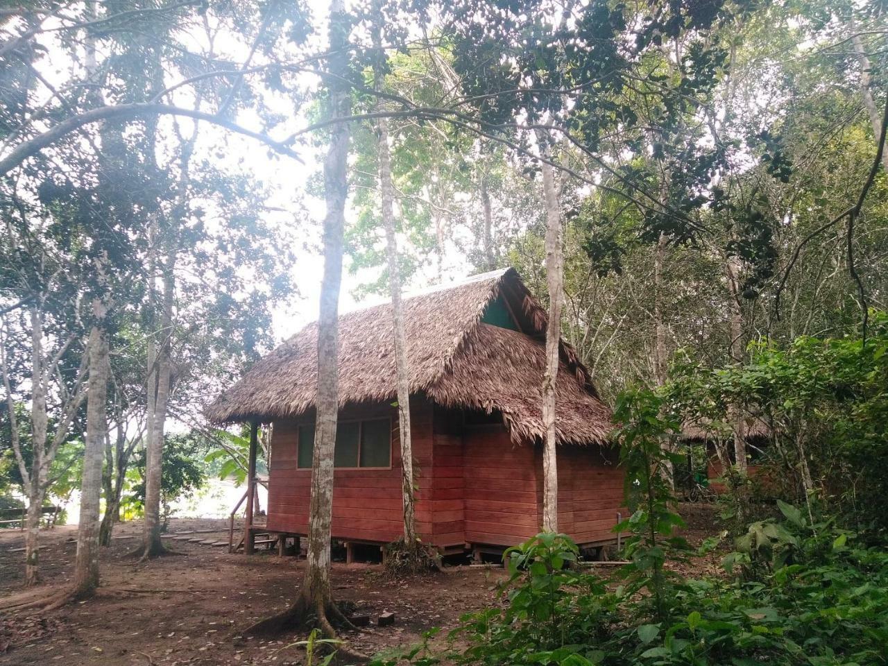 Majacho'S House Hostel Puerto Maldonado Exterior photo